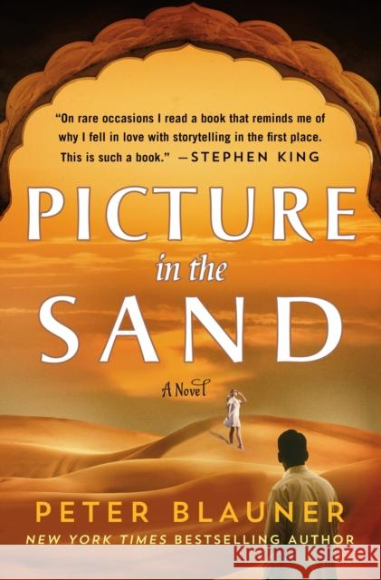 Picture in the Sand: A Novel Peter Blauner 9781250851017