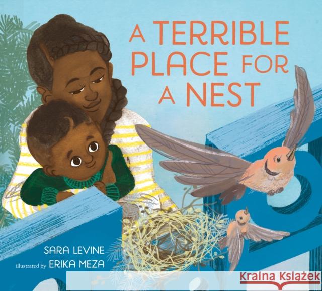 A Terrible Place for a Nest Sara Levine Erika Meza 9781250861221