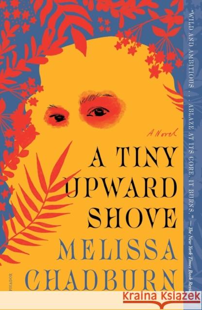 A Tiny Upward Shove Melissa Chadburn 9781250863157 Picador USA