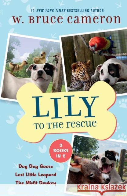 Lily to the Rescue Bind-Up Books 4-6: Dog Dog Goose, Lost Little Leopard, and The Misfit Donkey W. Bruce Cameron 9781250867667 Starscape Books