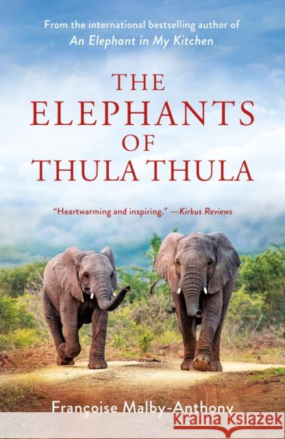 The Elephants of Thula Thula Francoise Malby-Anthony 9781250867797