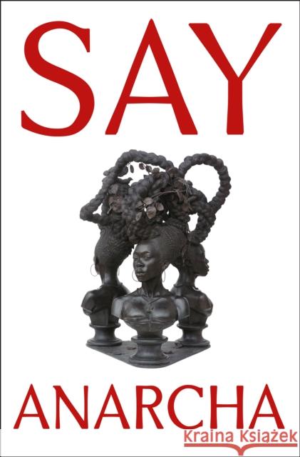 Say Anarcha: A Young Woman, a Devious Surgeon, and the Harrowing Birth of Modern Women's Health J. C. Hallman 9781250868466 Henry Holt & Company Inc