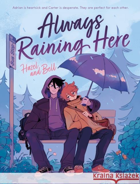 Always Raining Here Hazel and Bell 9781250870124 First Second