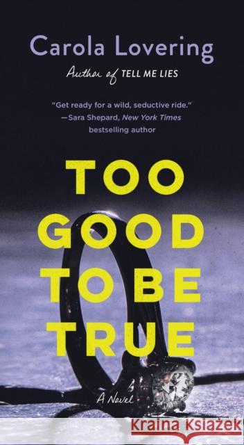 Too Good to Be True Carola Lovering 9781250877017 St. Martin's Press