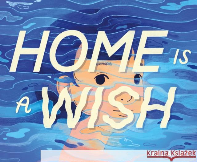 Home Is a Wish Julia Kuo Julia Kuo 9781250881328 Roaring Brook Press