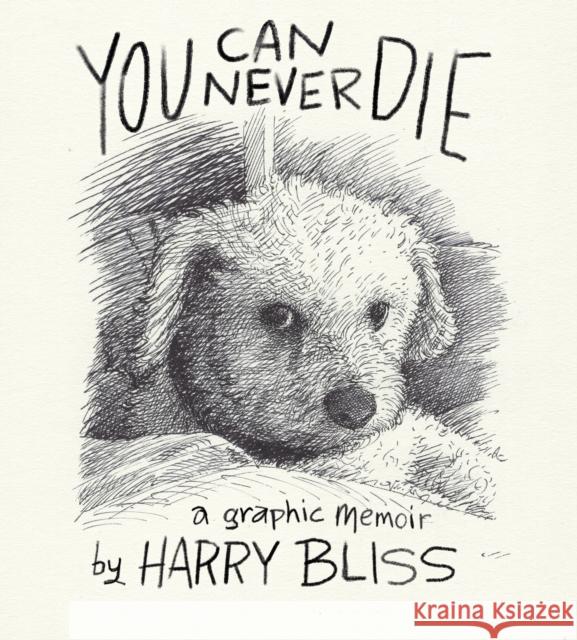 You Can Never Die: A Graphic Memoir Bliss, Harry 9781250883681