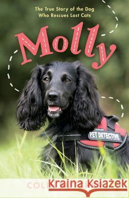 Molly: The True Story of the Dog Who Rescues Lost Cats Colin Butcher 9781250903907 Feiwel & Friends