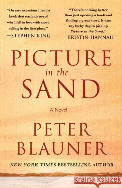 Picture in the Sand: A Novel Peter Blauner 9781250904133 St. Martin's Publishing Group