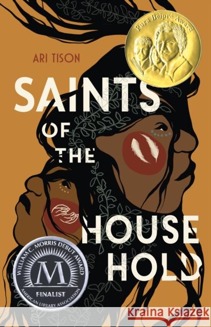 Saints of the Household Ari Tison 9781250907004 Square Fish