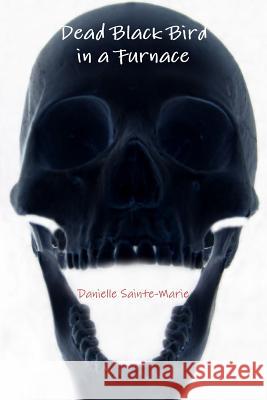 Dead Black Bird in a Furnace Danielle Sainte-Marie 9781257911547 Lulu.com