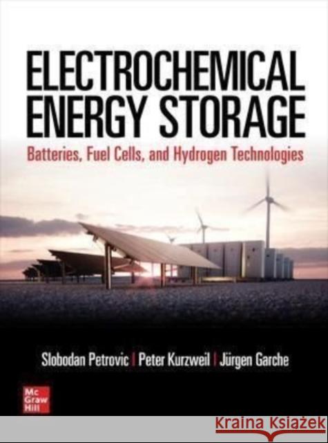 Electrochemical Energy Storage Slobodan Petrovic 9781260012002 McGraw-Hill Education