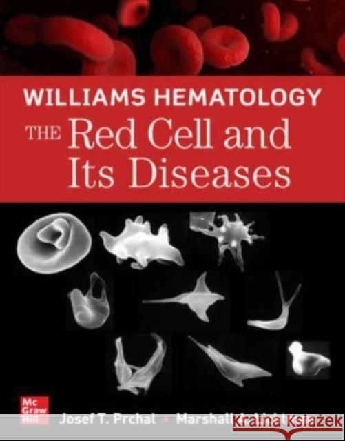 Williams Hematology: The Red Cell and Its Diseases Josef Prchal Marshall Lichtman 9781264269075 McGraw-Hill Education / Medical