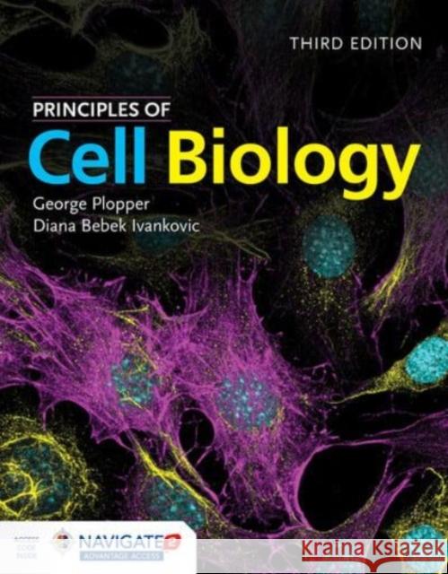 Principles of Cell Biology Diana Bebek Ivankovic 9781284149845