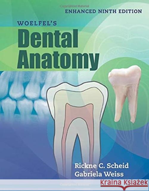 Woelfel's Dental Anatomy, Enhanced Edition Scheid, Rickne C. 9781284218244 Jones & Bartlett Publishers