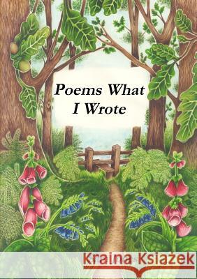 Poems What I Wrote Sam Jones 9781291414608 Lulu Press Inc