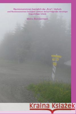 Revisionsansinnen bezuglich des 