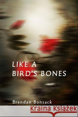 Like a Bird's Bones Brendan Bonsack 9781291575972