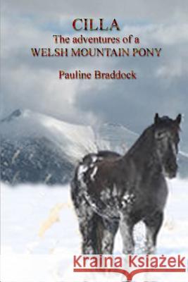 Cilla the Adventures of a Welsh Mountain Pony Pauline Braddock 9781291802542