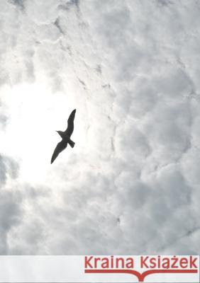 Cinema Alex Ingram 9781291823905