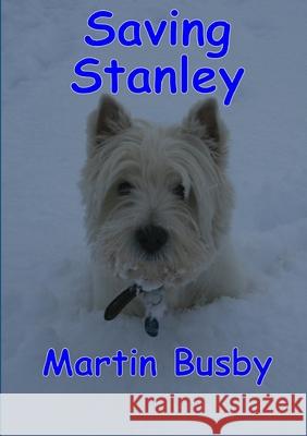 Saving Stanley: an adventure Martin Busby 9781300927549