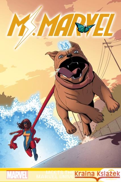 Ms. Marvel Meets the Marvel Universe G. Willow Wilson Mark Waid Amy Reeder 9781302923624 Marvel Comics