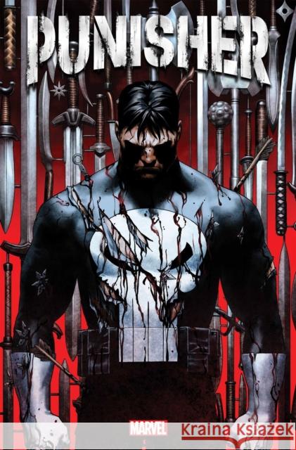 Punisher Vol. 1  9781302928773 Marvel Comics