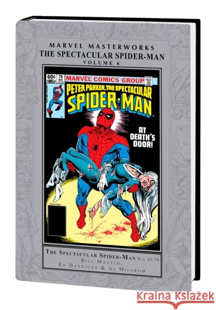 Marvel Masterworks: The Spectacular Spider-man Vol. 6 Tom DeFalco 9781302949327 Marvel Universe