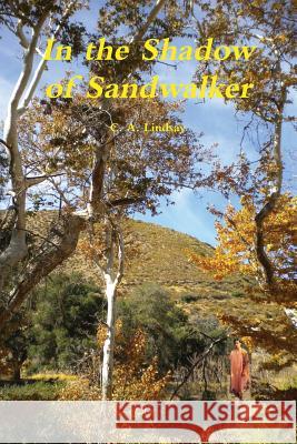 In the Shadow of Sandwalker C. A. Lindsay 9781304264381 Lulu.com