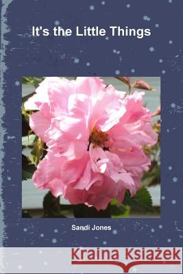 It's the Little Things Sandi Jones 9781304328793