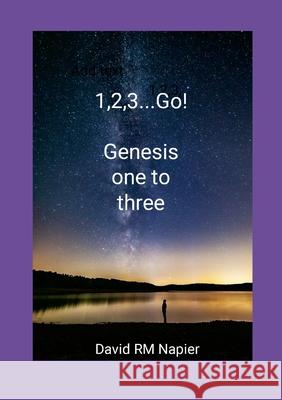 1,2,3...Go!: Genesis one to three David Napier 9781304473257