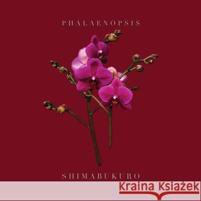 Phalaenopsis_shimabukuro Wayne Shimabukuro 9781304577399
