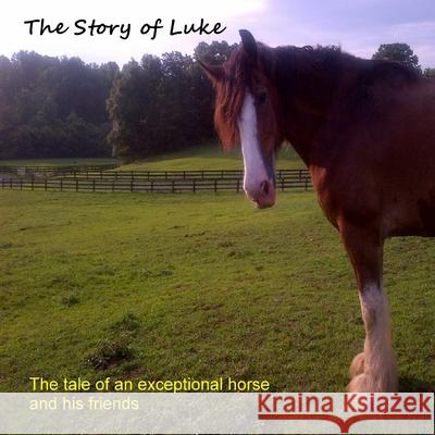 The Story of Luke Priscilla Craig 9781304621696