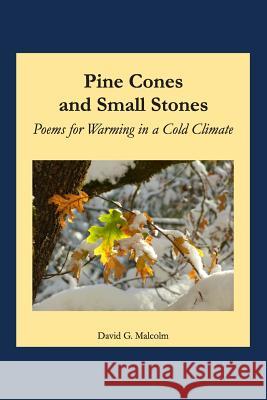 Pine Cones and Small Stones David Malcolm 9781304666758