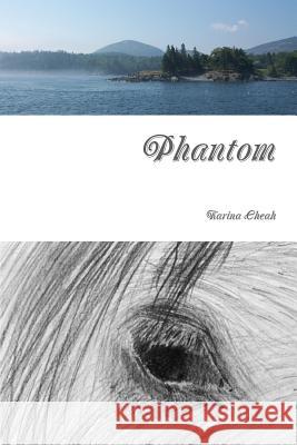 Phantom Karina Cheah 9781312011663