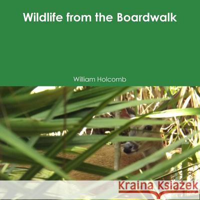 Wildlife from the Boardwalk William Holcomb 9781312033160 Lulu.com