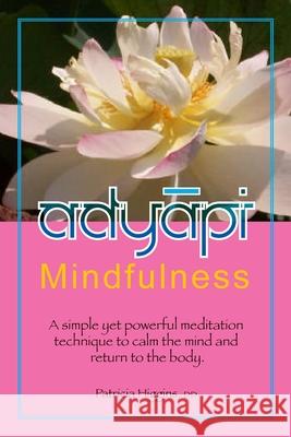 adyApi Mindfulness Patricia Higgins 9781312074255