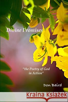 Divine Promises: the Poetry of God in Action Don Baird Richard Gilbert 9781312223967 Lulu.com