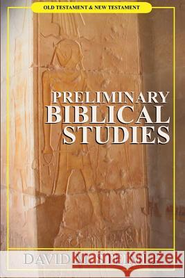 Preliminary biblical studies Steimle, David M. 9781312545502