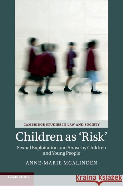 Children as 'Risk': Sexual Exploitation and Abuse by Children and Young People McAlinden, Anne-Marie 9781316507988