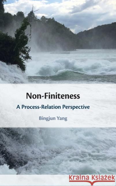 Non-Finiteness: A Process-Relation Perspective Yang, Bingjun 9781316513415 Cambridge University Press