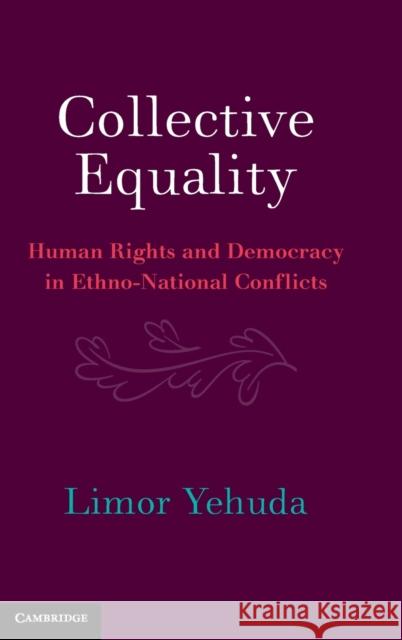 Collective Equality: Human Rights and Democracy in Ethno-National Conflicts Yehuda, Limor 9781316514825