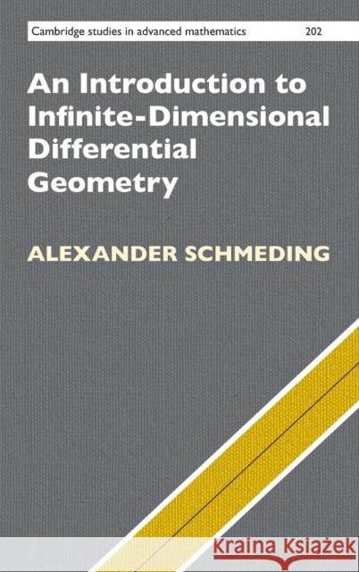 An Introduction to Infinite-Dimensional Differential Geometry Alexander Schmeding 9781316514887 Cambridge University Press