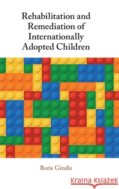 Rehabilitation and Remediation of Internationally Adopted Children Boris Gindis 9781316516294 Cambridge University Press