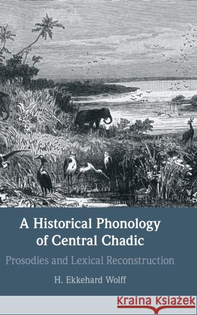 A Historical Phonology of Central Chadic: Prosodies and Lexical Reconstruction H. Ekkehard Wolff (Universität Leipzig) 9781316519547 Cambridge University Press