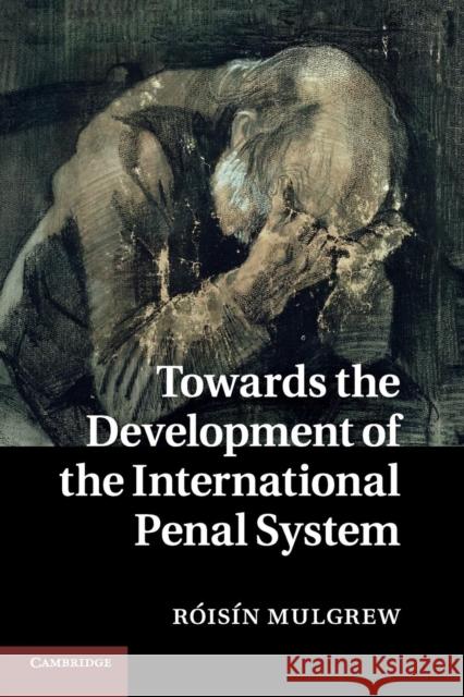 Towards the Development of the International Penal System Roisin Mulgrew 9781316606490 Cambridge University Press