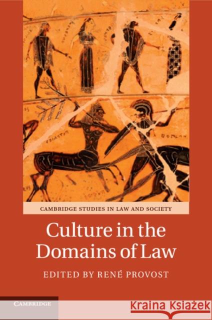 Culture in the Domains of Law Ren' Provost 9781316615133 Cambridge University Press