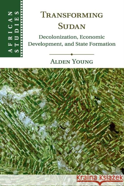 Transforming Sudan: Decolonization, Economic Development, and State Formation Young, Alden 9781316623848 Cambridge University Press