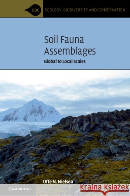 Soil Fauna Assemblages: Global to Local Scales Uffe Nielsen 9781316642108 Cambridge University Press