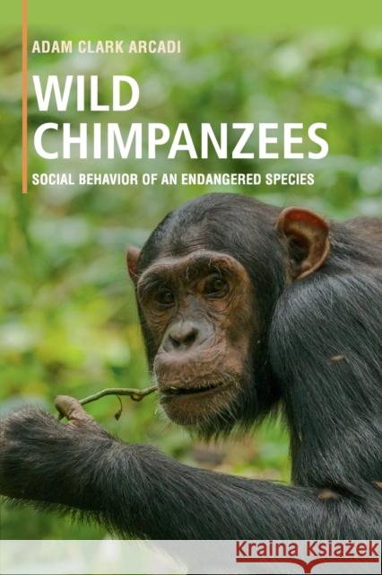 Wild Chimpanzees: Social Behavior of an Endangered Species Adam Clark Arcadi 9781316647561