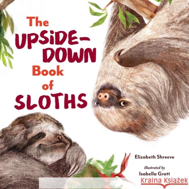 The Upside-Down Book of Sloths Elizabeth Shreeve Isabella Grott 9781324015772 WW Norton & Co